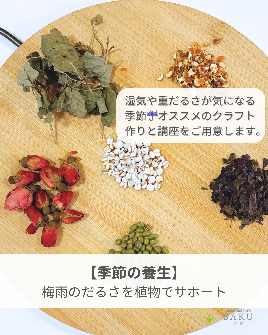 薬膳素材